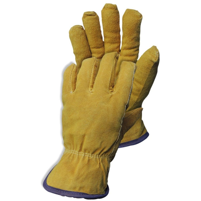 Cold Room Glove