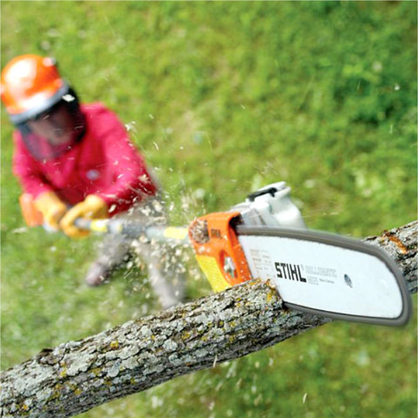STIHL HT 131 Pole Pruner (Telescopic with 16' Reach) 36cc